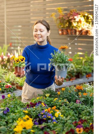 Female customer choosing pot of gazania and cyclamen in container garden shop Female customer choosing pot of gazania and cyclamen in container garden shop 139604127