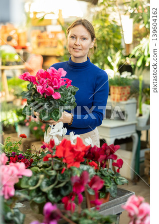 Female customer choosing potted cyclamen in container garden shop Female customer choosing potted cyclamen in container garden shop 139604162