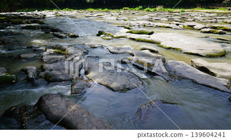 Sekinoo Falls, Miyazaki Prefecture Sekinoo Falls, Miyazaki Prefecture 139604241