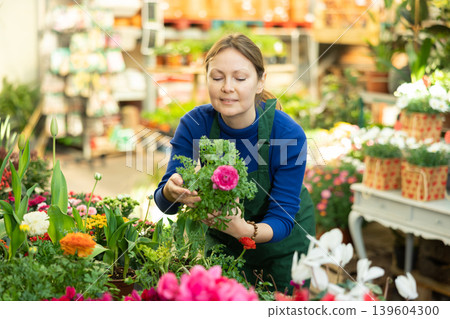 Gardener woman holding potted ranunculus in container garden Gardener woman holding potted ranunculus in container garden 139604300