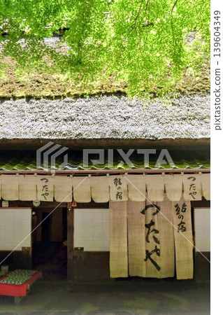 《鮎之宿蔦屋之青紅梅》 《鮎之宿蔦屋之青紅梅》 139604349