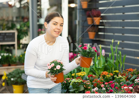 Female customer choosing potted moss rose in container garden shop 139604360