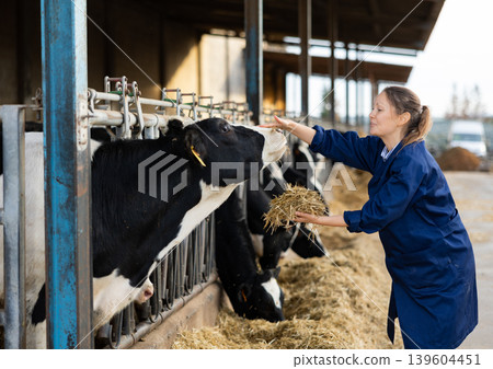 Female farmer feeding cows in farm Female farmer feeding cows in farm 139604451