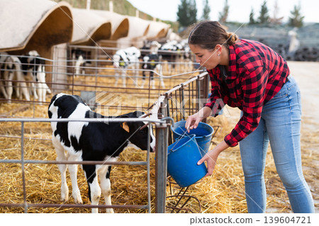 Positive young woman farmer petting and feeding calves during the day on ranch. Cattle breeding, taking care of animals, dairy and meat production concept Positive young woman farmer petting and feeding calves during the day on ranch. Cattle breeding, taking care of animals, dairy and meat production concept 139604721