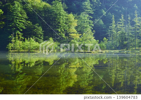 Myojin Pond Myojin Pond 139604783