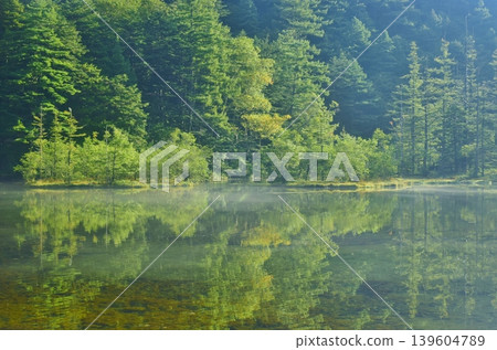 Myojin Pond Myojin Pond 139604789