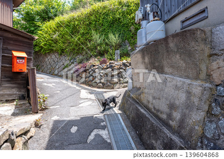 一張香川縣高松市小木島迷宮般小巷的照片。 139604868