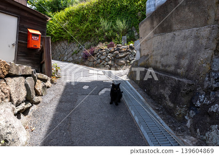 A photograph of the labyrinthine alleys of Ogijima Island in Takamatsu City, Kagawa Prefecture. A photograph of the labyrinthine alleys of Ogijima Island in Takamatsu City, Kagawa Prefecture. 139604869