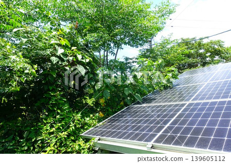 Solar panels affected by being covered by trees Solar panels affected by being covered by trees 139605112