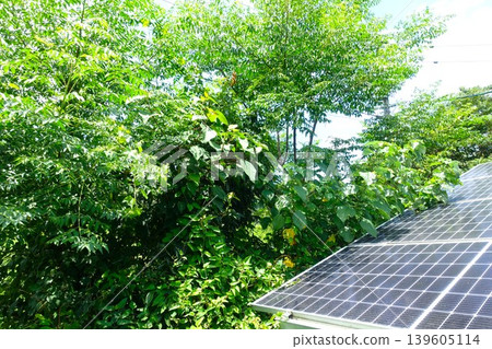 Solar panels affected by being covered by trees Solar panels affected by being covered by trees 139605114