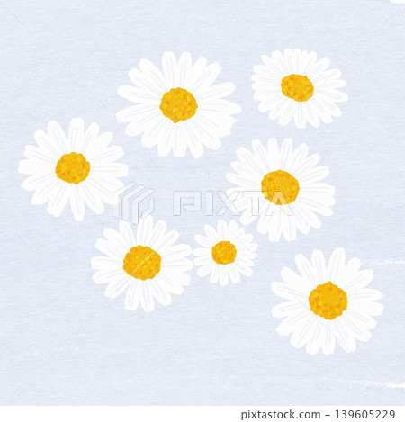 Chamomile Chamomile 139605229