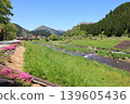春天的新莊河 5 139605436