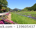 春天的新莊川4 139605437