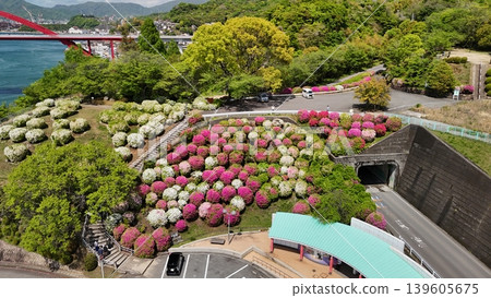 April 2026 - Drone aerial photography of Ondo no Seto [Ondo Ohashi Bridge, Second Ondo Ohashi Bridge, Tsutsuji no Oka] - No. 08 139605675