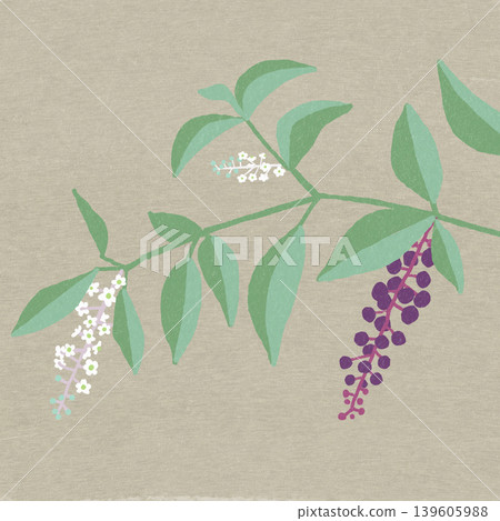 Yohji山牛肉花 Yohji山牛肉花 139605988