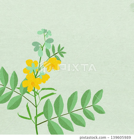 Horsetail Horsetail 139605989