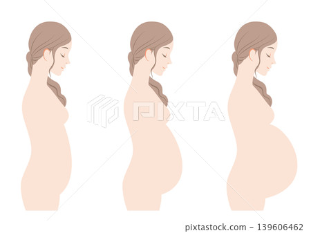 Pregnant women: early, middle, and late stages 139606462