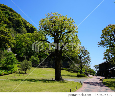 Senguen鹿兒島縣 Senguen鹿兒島縣 139606529