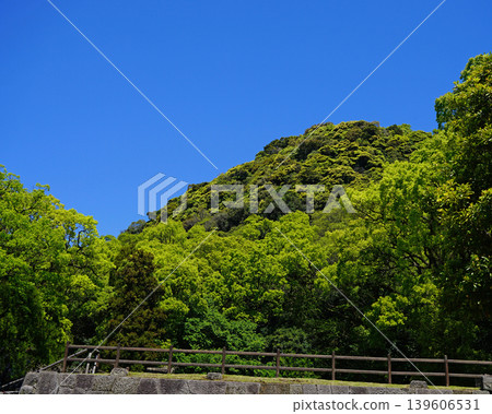 Senguen鹿兒島縣 139606531