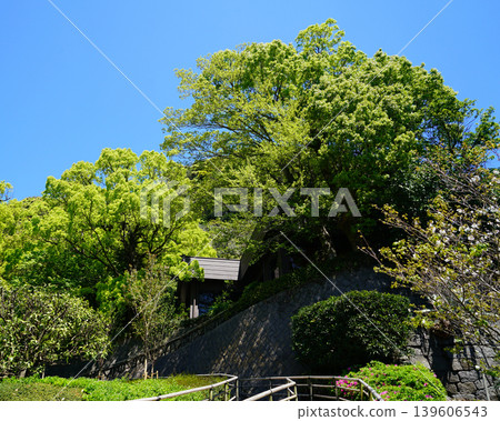 Senguen Kagoshima Prefecture 139606543
