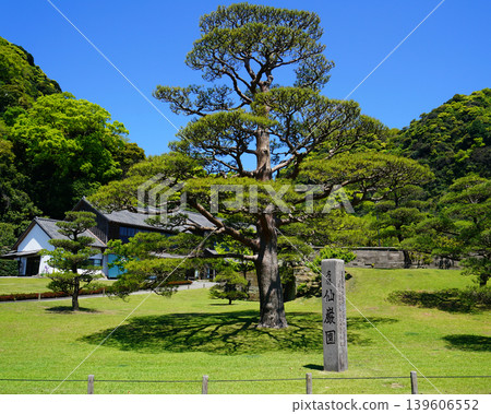 Senguen Kagoshima Prefecture Senguen Kagoshima Prefecture 139606552