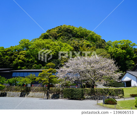 Senguen Kagoshima Prefecture Senguen Kagoshima Prefecture 139606553