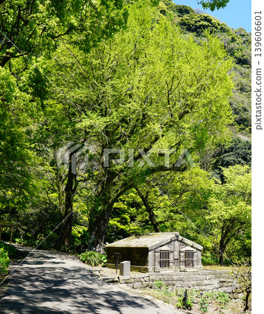 Senguen鹿兒島縣 139606601