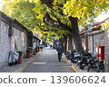 Hutong in Beijing, China with Golden leaves hang low over stone-lined alley in Autumn 139606624
