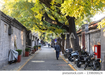 Hutong in Beijing, China with Golden leaves hang low over stone-lined alley in Autumn Hutong in Beijing, China with Golden leaves hang low over stone-lined alley in Autumn 139606624