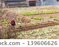 Unrecognizable elderly Chinese farmer plouging dirt in small rural village vegetables farm in China 139606626