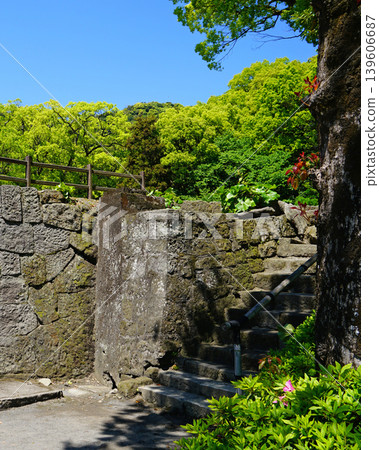 Senguen鹿兒島縣 Senguen鹿兒島縣 139606687