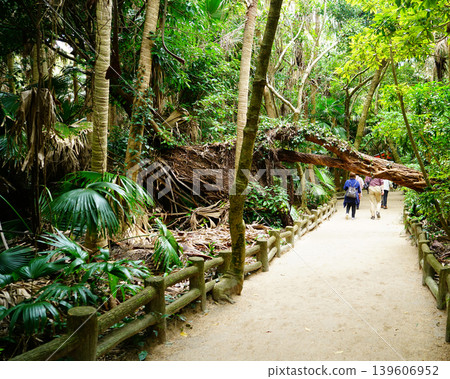 Aoshima Aoshima Shrine Miyazaki Prefecture Aoshima Aoshima Shrine Miyazaki Prefecture 139606952