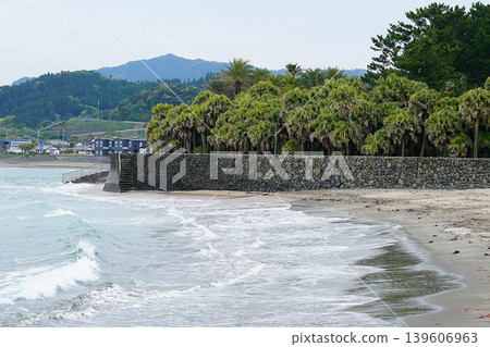 青島青島神社宮崎縣 139606963