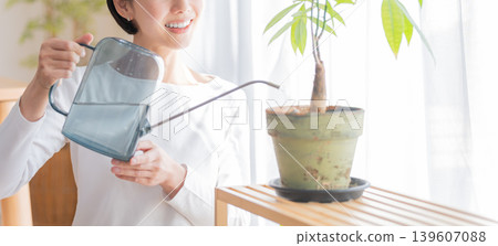 一位女士正在用澆水壺給室內植物澆水。 一位女士正在用澆水壺給室內植物澆水。 139607088