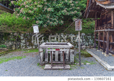 Kamei Sacred Water at Hiyoshi Taisha Shrine, Shiga Prefecture 139607161
