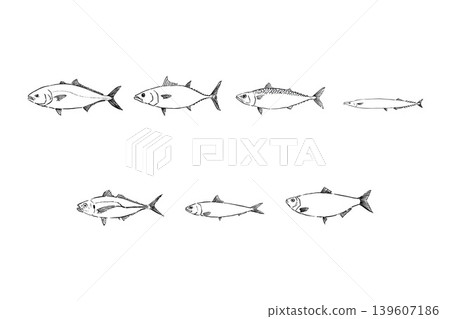 藍色魚類圖集 - 海水魚插圖 139607186