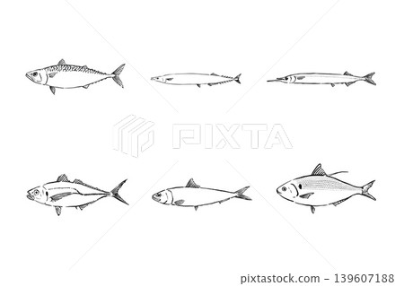 閃亮魚類套裝:藍色魚類插圖 閃亮魚類套裝:藍色魚類插圖 139607188