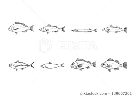 Fishing set for targeting fish from a breakwater - Sea fishing illustration material Fishing set for targeting fish from a breakwater - Sea fishing illustration material 139607261