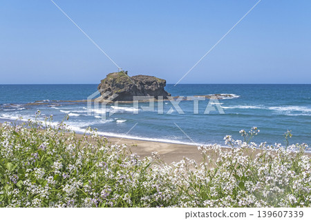 Shirato Beach in early summer Shirato Beach in early summer 139607339