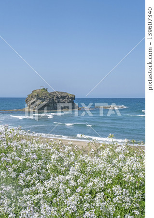 Shirato Beach in early summer Shirato Beach in early summer 139607340