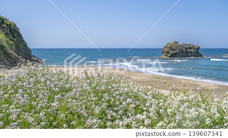 Shirato Beach in early summer Shirato Beach in early summer 139607341