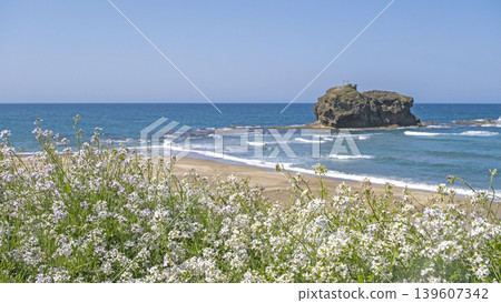 Shirato Beach in early summer Shirato Beach in early summer 139607342