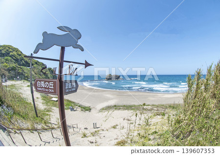 Shirato Beach in early summer Shirato Beach in early summer 139607353