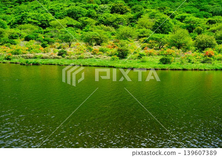 新綠色季節性風景 新綠色季節性風景 139607389
