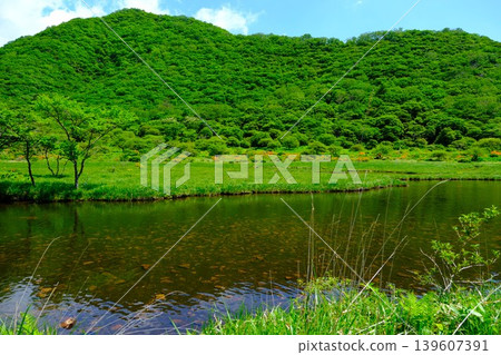 Seasonal landscape of fresh green Seasonal landscape of fresh green 139607391