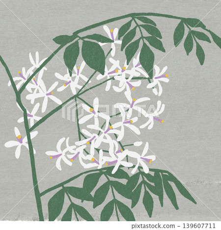仙丹花 139607711
