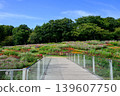 Autumn Satoyama Garden Festa 139607750