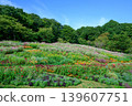 Autumn Satoyama Garden Festa 139607751