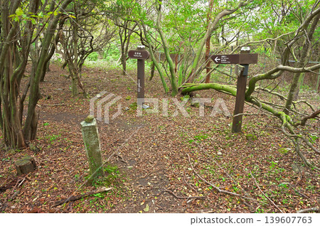 Izu Peninsula, Izu Mountain Ridge Trail, Yoshina Pass located beside the road Izu Peninsula, Izu Mountain Ridge Trail, Yoshina Pass located beside the road 139607763