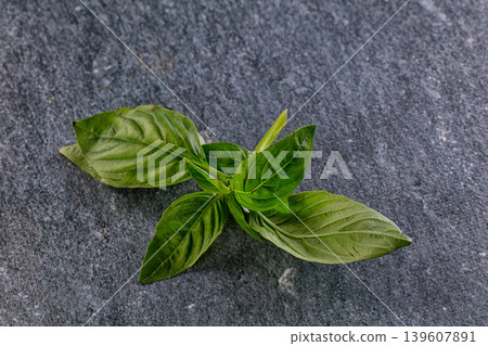 Green fresh aroma basil leaves Green fresh aroma basil leaves 139607891